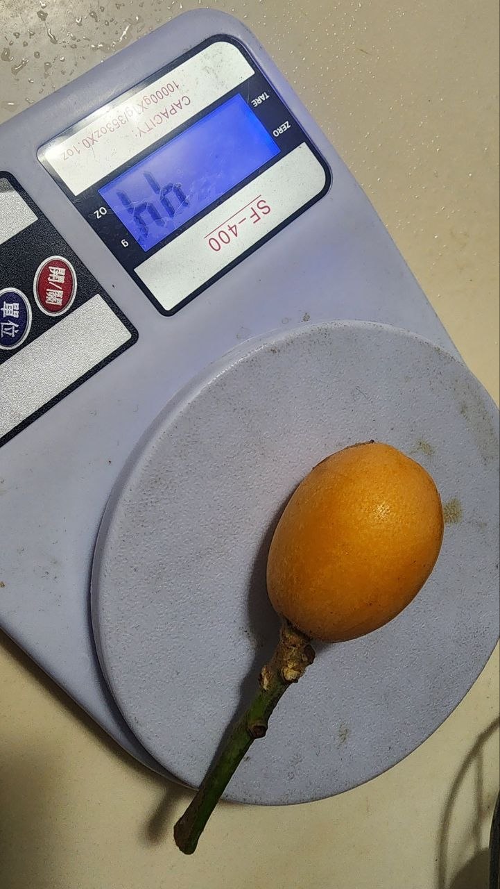 剝皮後的鮮嫩果肉